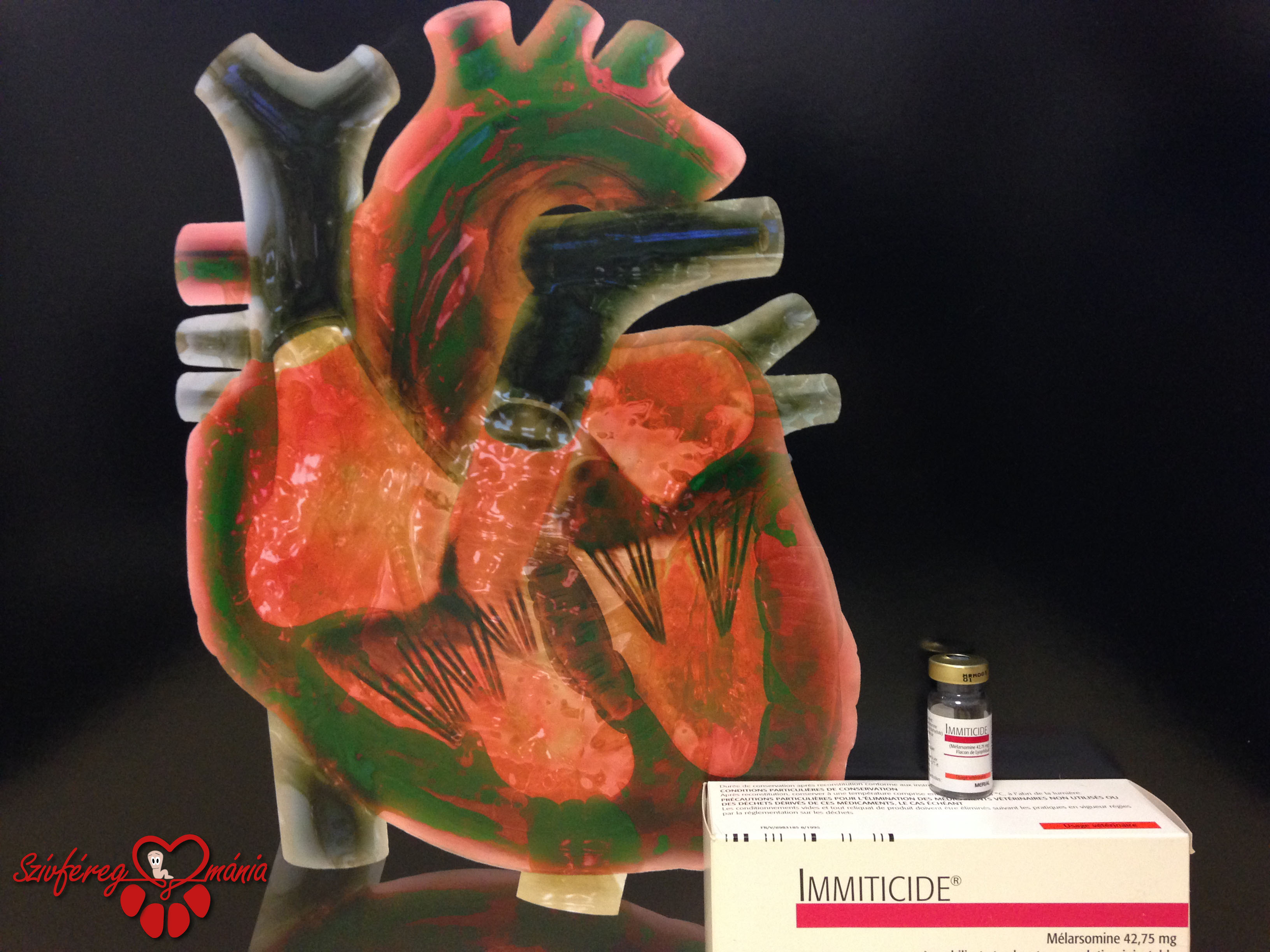 A szívféreg megelőző - A szív- és bőrférgességről